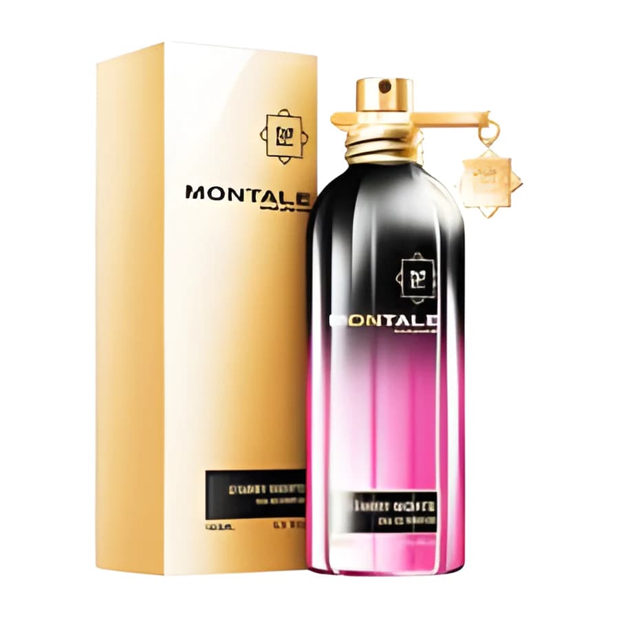 Starry Nights Montale